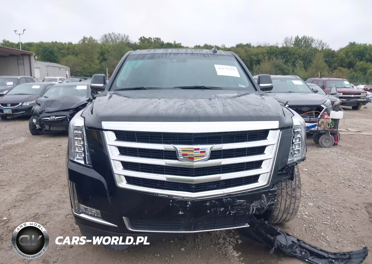 2015 Cadillac Escalade Premium VIN:1GYS4NKJ3FR738101 - 12