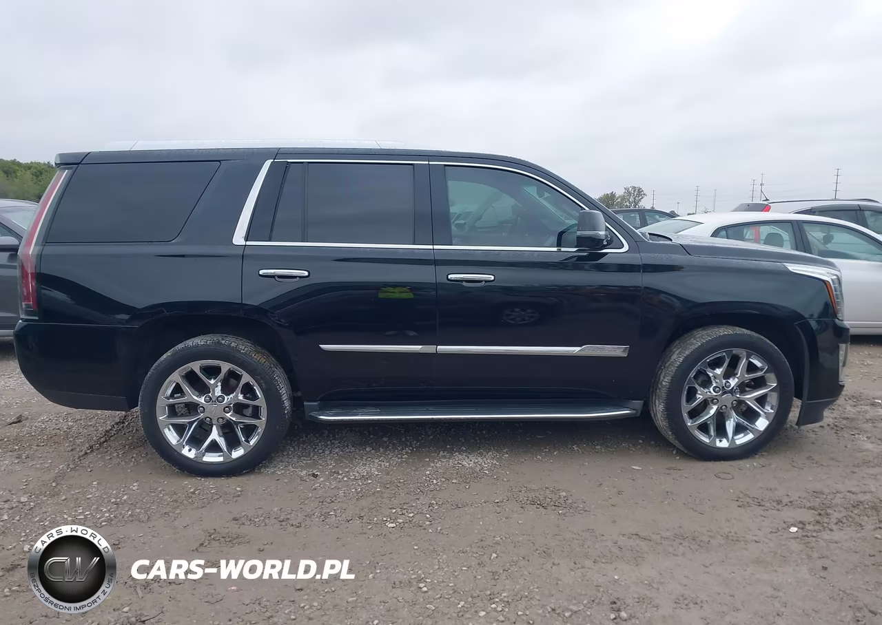 2015 Cadillac Escalade Premium VIN:1GYS4NKJ3FR738101 - 13