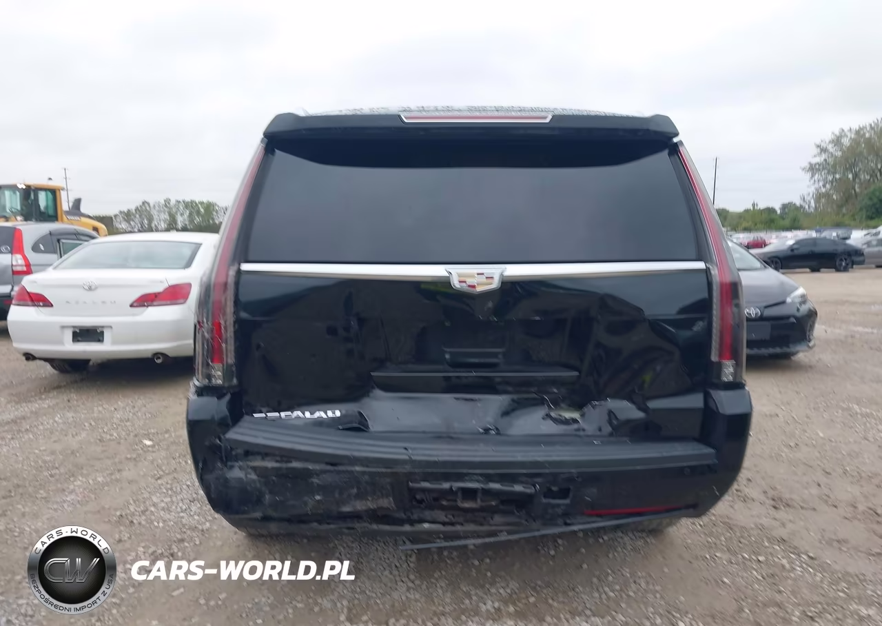 2015 Cadillac Escalade Premium VIN:1GYS4NKJ3FR738101 - 16