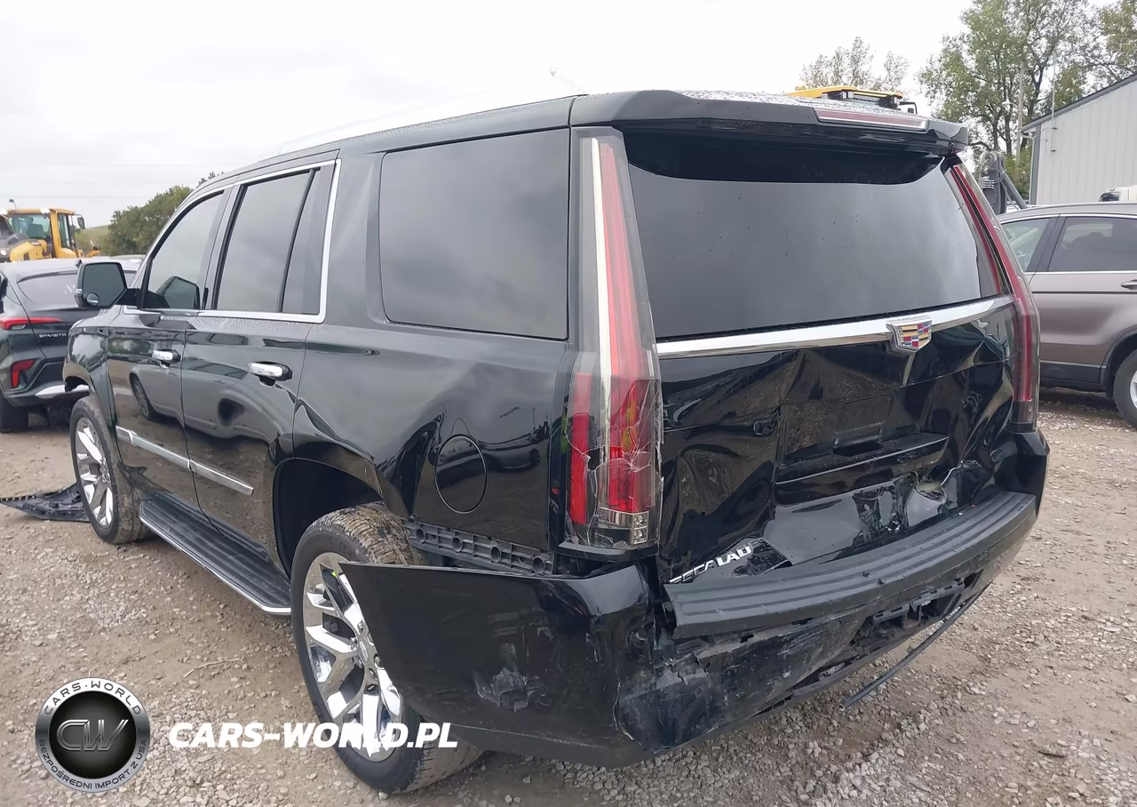 2015 Cadillac Escalade Premium VIN:1GYS4NKJ3FR738101 - 3