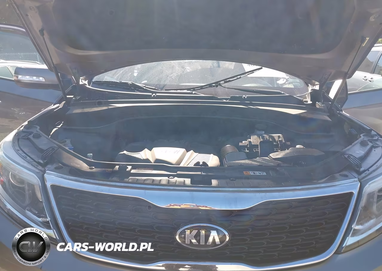 2015 Kia Sorento Lx VIN:5XYKT3A67FG660236 - 10