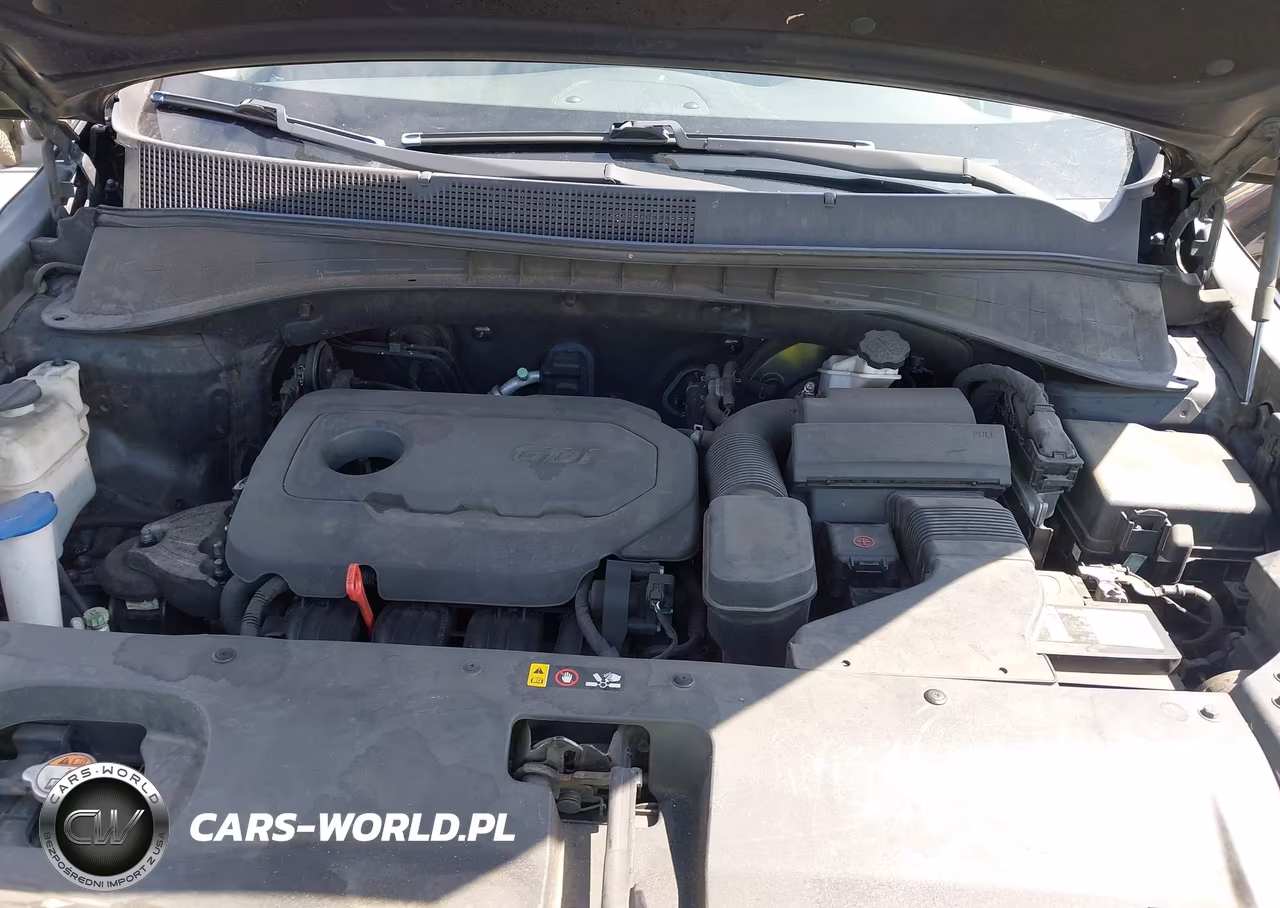 2016 Kia Sorento 2.4L L VIN:5XYPG4A35GG003023 - 10