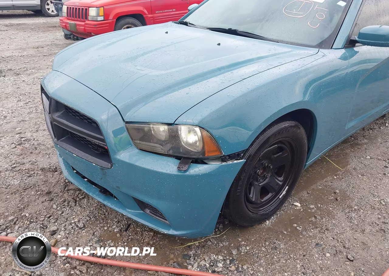 2012 Dodge Charger Police VIN:2C3CDXAG3CH167396 - 13