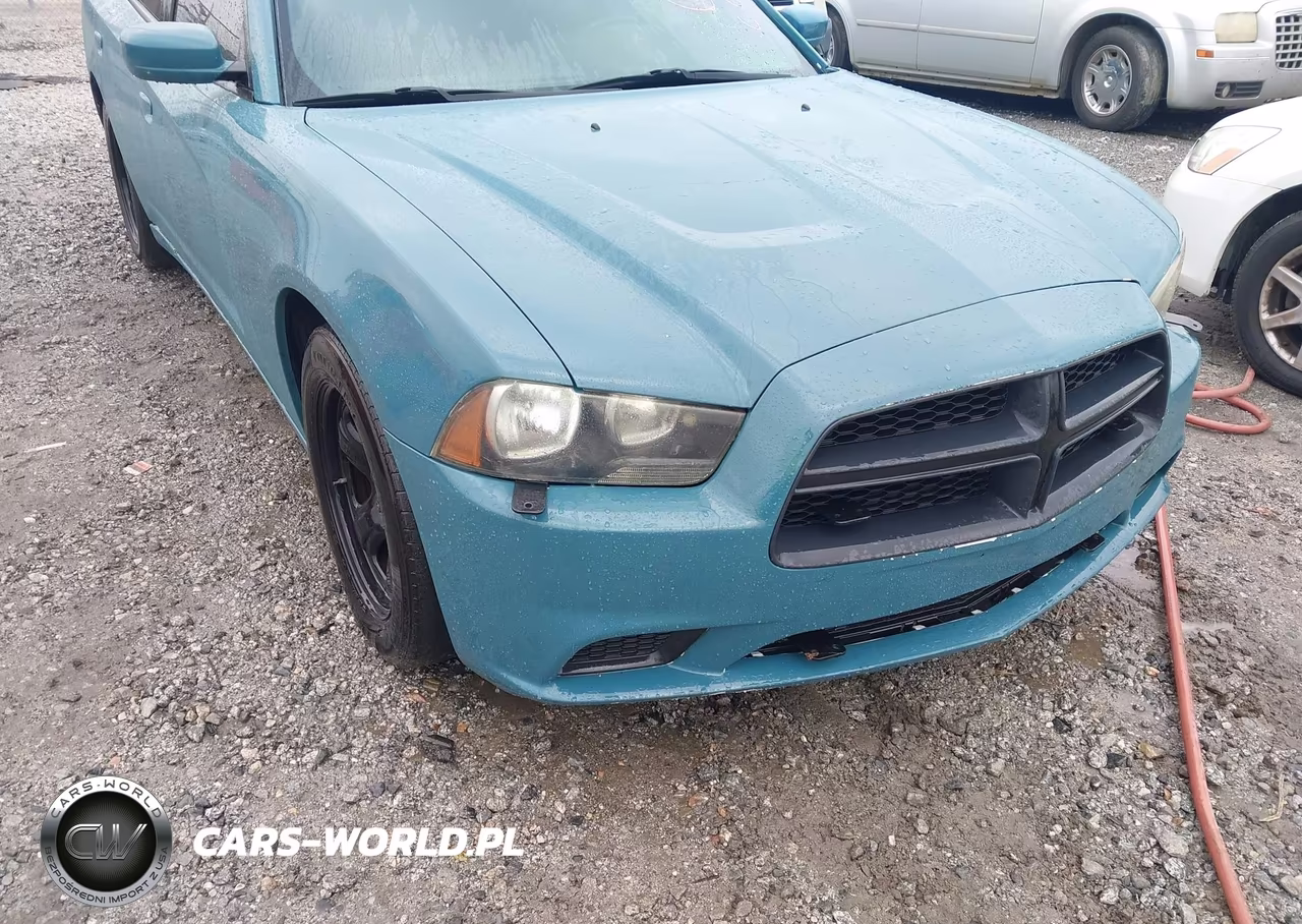 2012 Dodge Charger Police VIN:2C3CDXAG3CH167396 - 14
