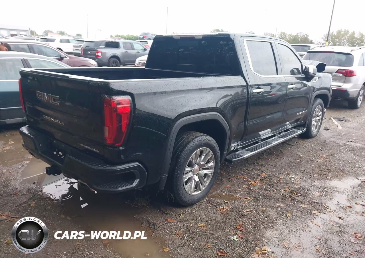 2020 GMC Sierra 1500 4Wd Short Box Denali VIN:3GTU9FED7LG256299 - 4