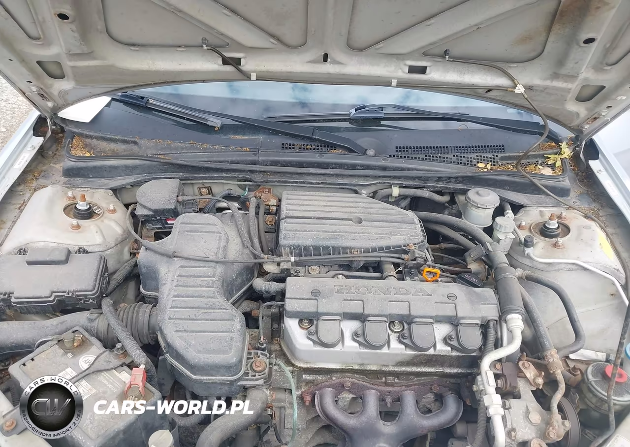 2003 Honda Civic Lx VIN:1HGES15593L031147 - 10