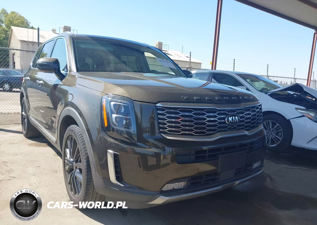 2020 Kia Telluride Sx VIN:5XYP54HCXLG072554 - 1