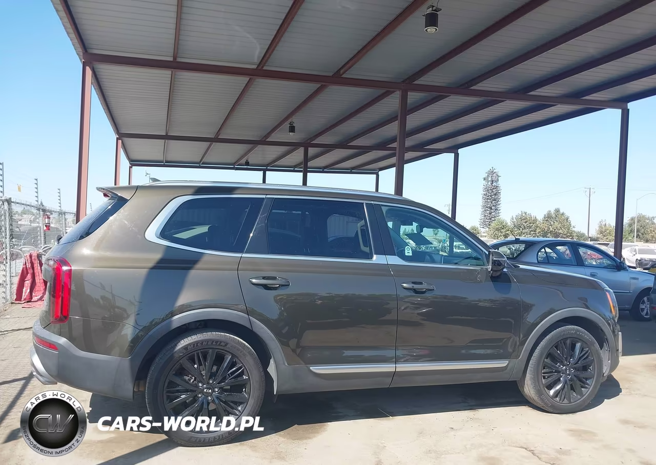 2020 Kia Telluride Sx VIN:5XYP54HCXLG072554 - 13
