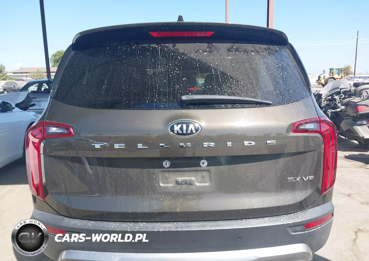 2020 Kia Telluride Sx VIN:5XYP54HCXLG072554 - 16