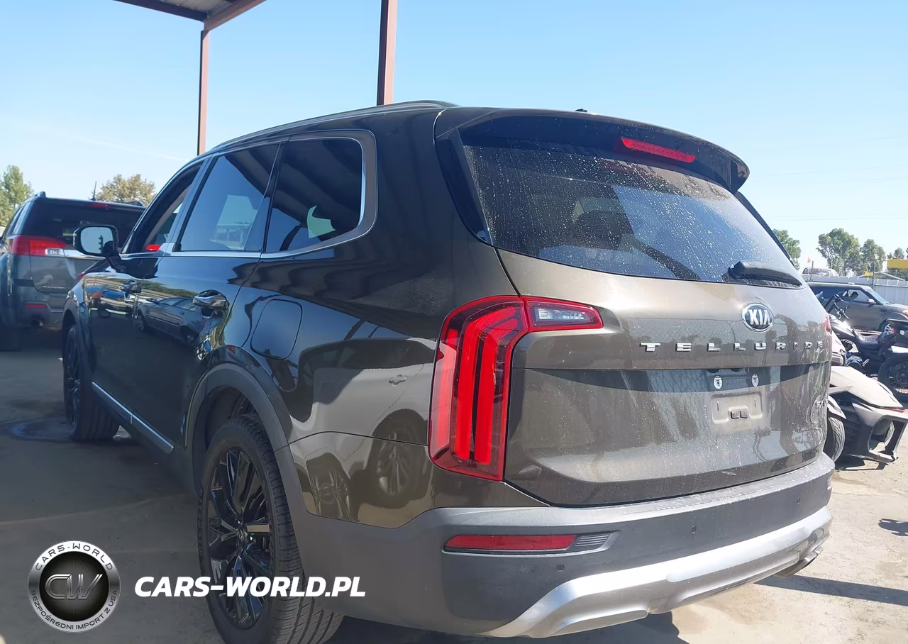 2020 Kia Telluride Sx VIN:5XYP54HCXLG072554 - 3