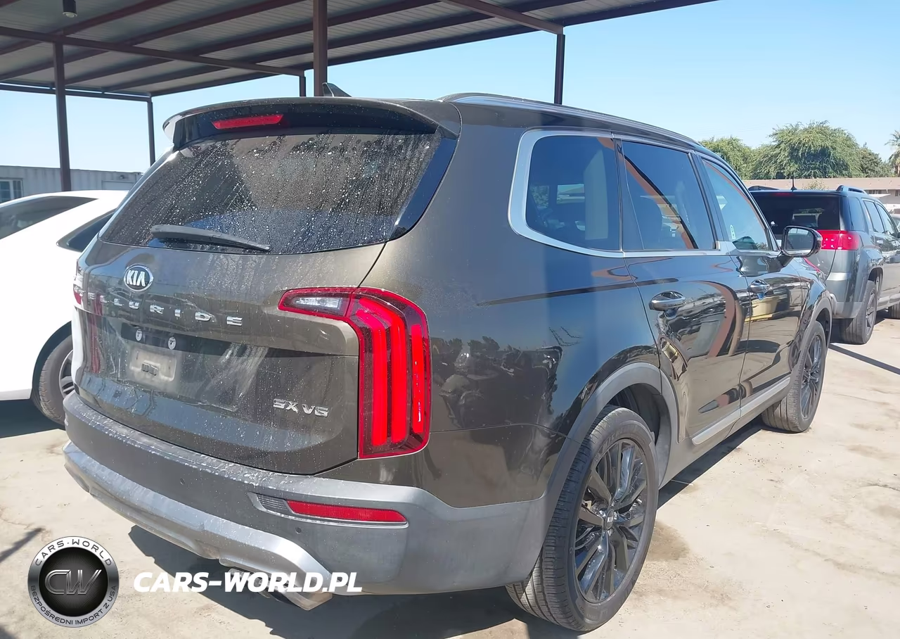 2020 Kia Telluride Sx VIN:5XYP54HCXLG072554 - 4