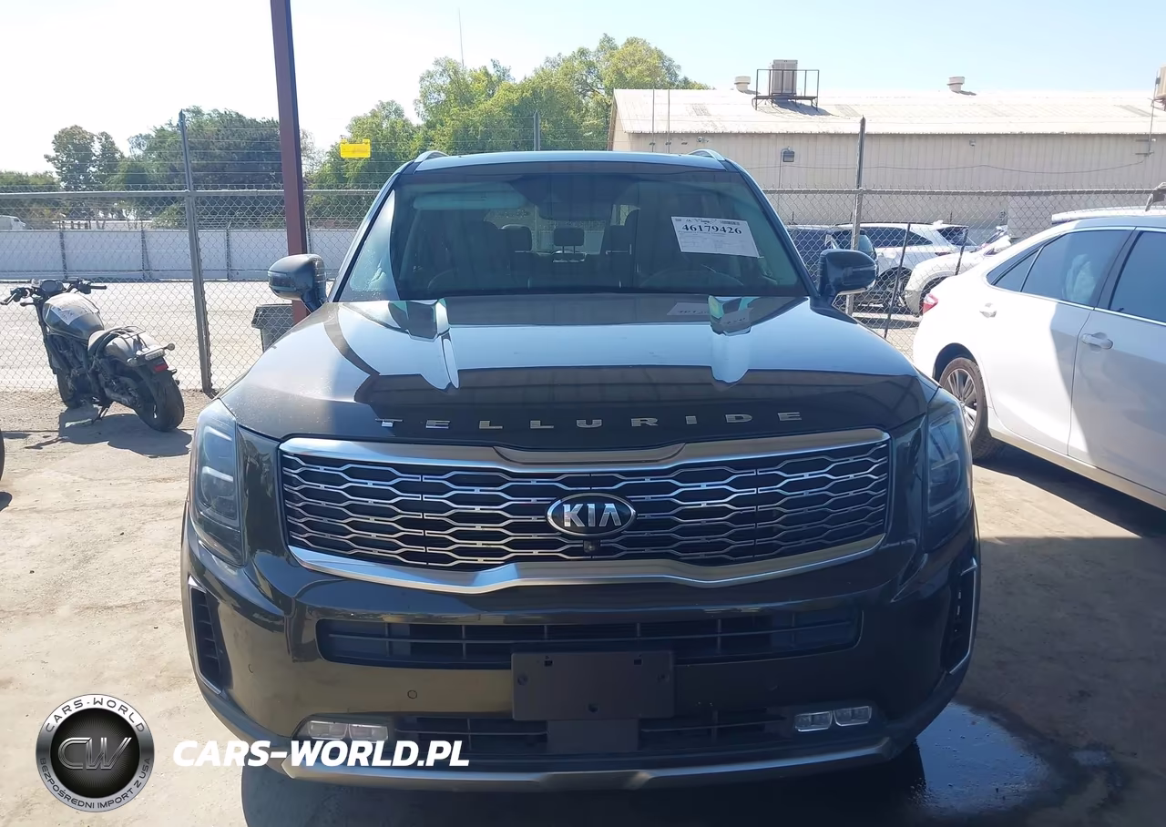 2020 Kia Telluride Sx VIN:5XYP54HCXLG072554 - 6
