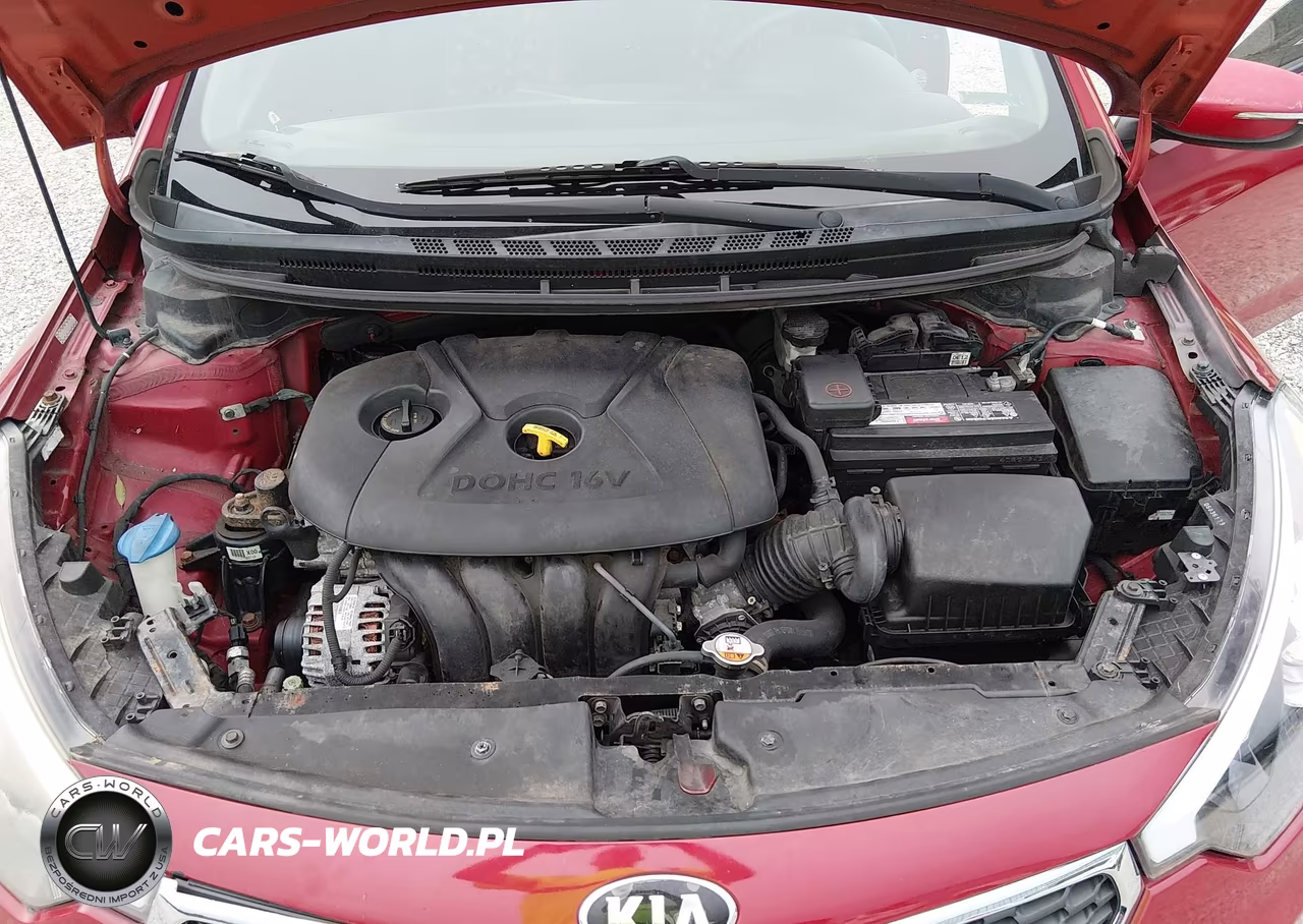 2015 Kia Forte Lx VIN:KNAFX4A6XF5435214 - 10
