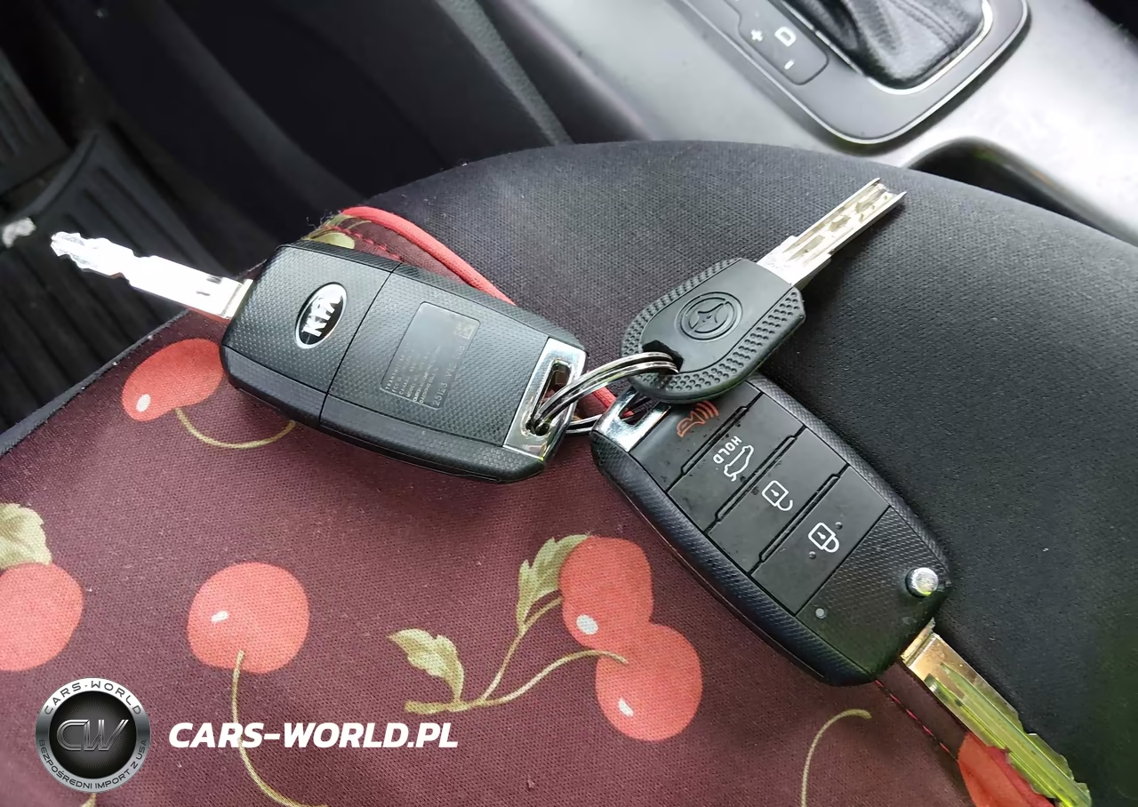 2015 Kia Forte Lx VIN:KNAFX4A6XF5435214 - 11