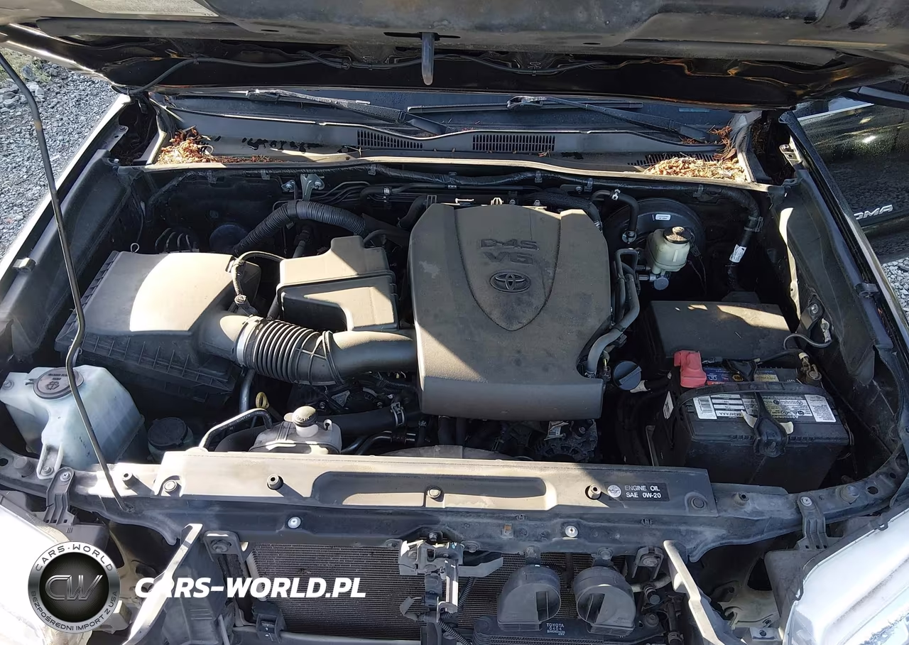 2016 Toyota Tacoma Sr5 V6 VIN:5TFCZ5ANXGX005301 - 10