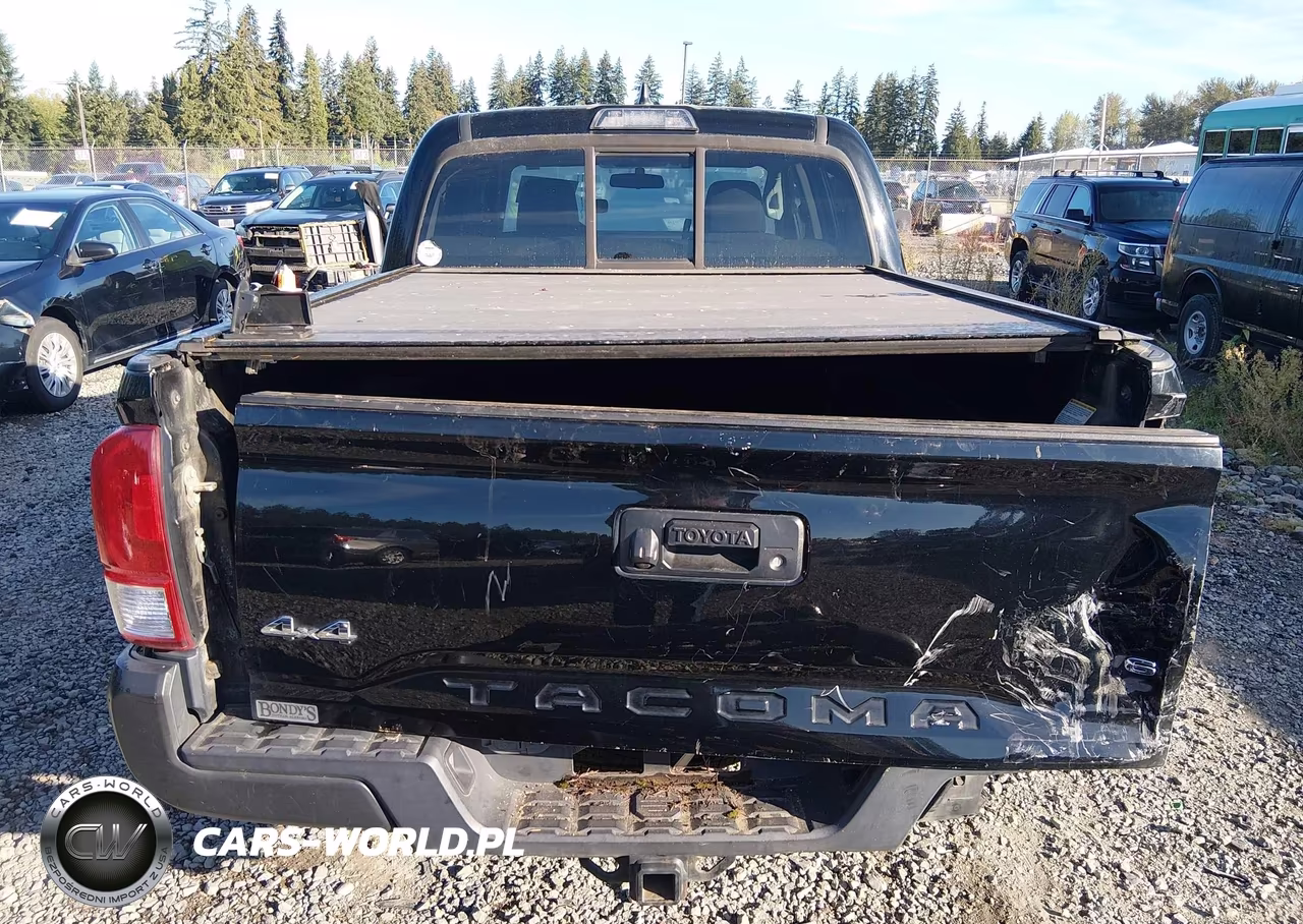 2016 Toyota Tacoma Sr5 V6 VIN:5TFCZ5ANXGX005301 - 17