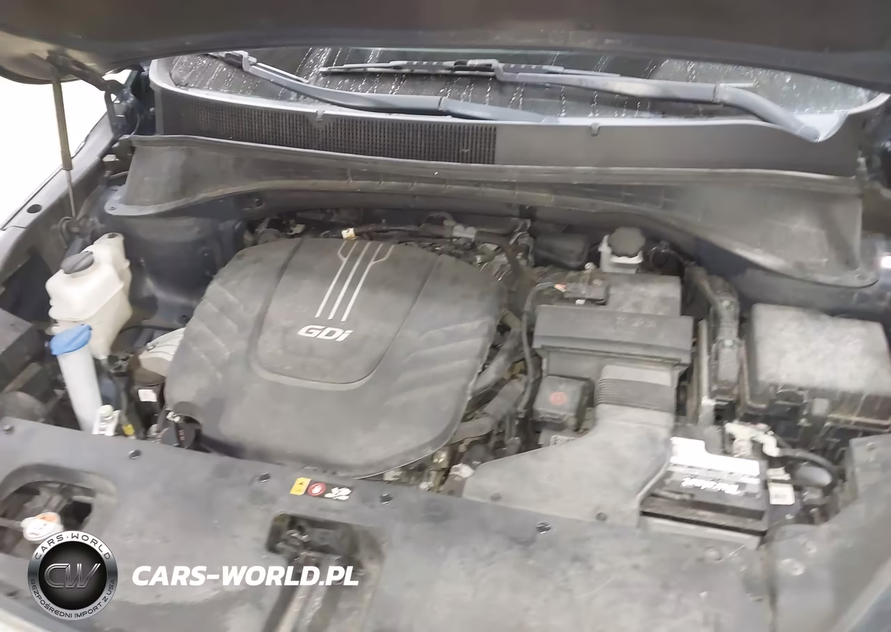 2017 Kia Sorento 3.3L Lx VIN:5XYPGDA58HG190227 - 10
