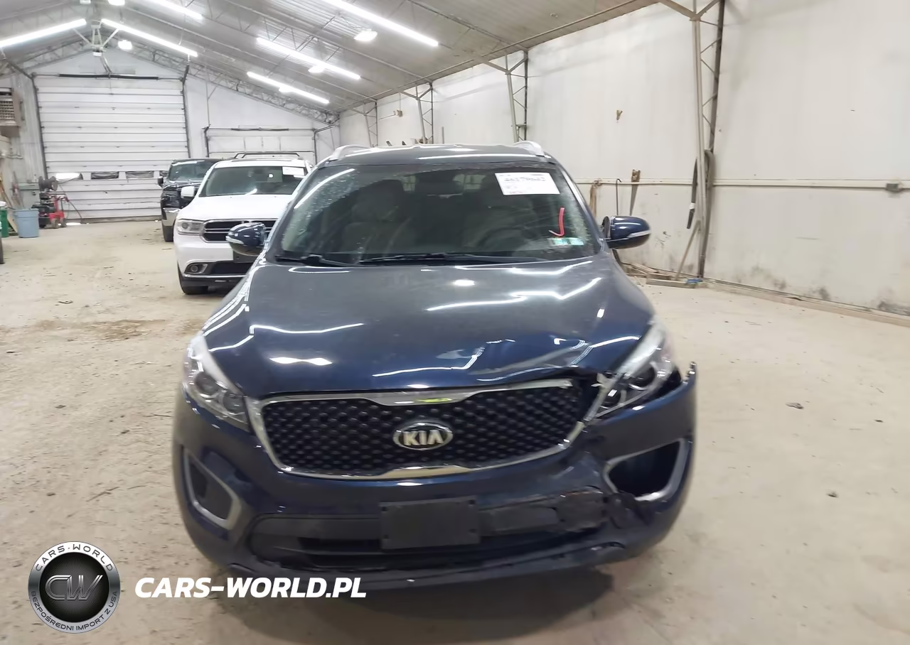 2017 Kia Sorento 3.3L Lx VIN:5XYPGDA58HG190227 - 12