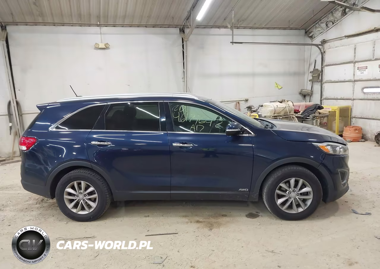 2017 Kia Sorento 3.3L Lx VIN:5XYPGDA58HG190227 - 13