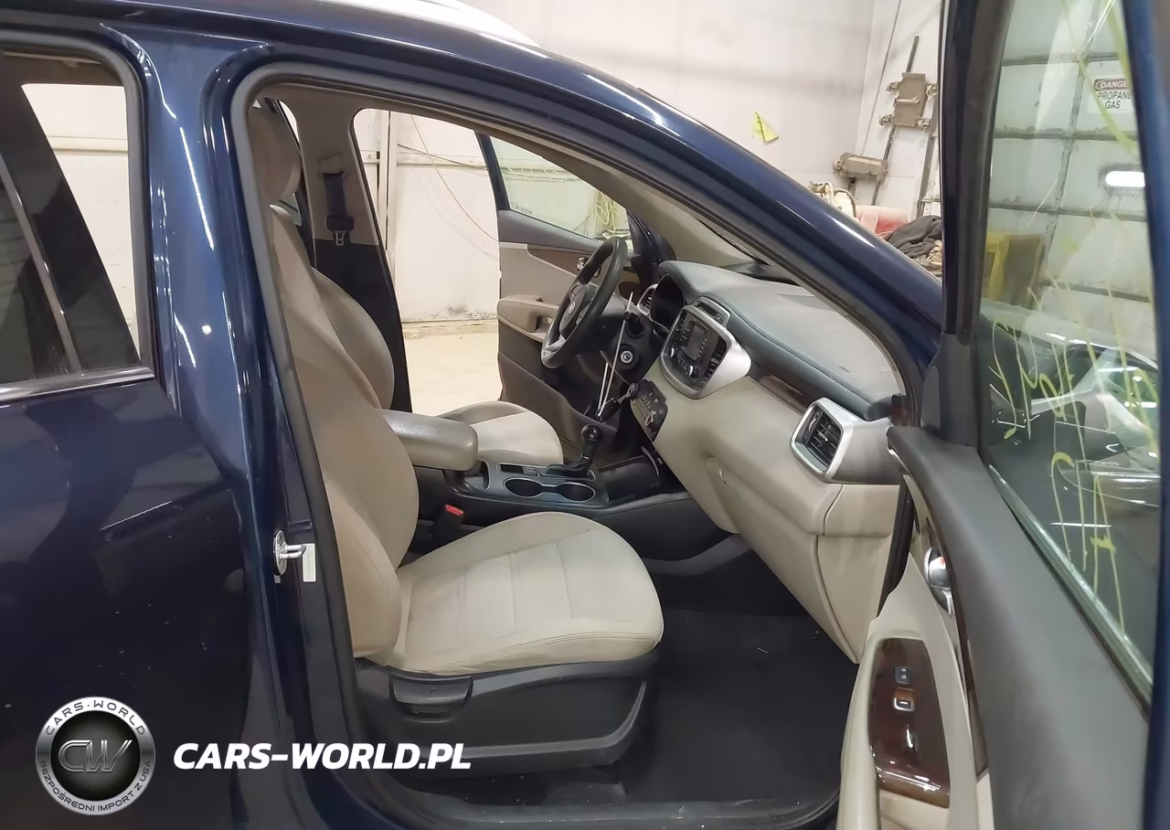 2017 Kia Sorento 3.3L Lx VIN:5XYPGDA58HG190227 - 5
