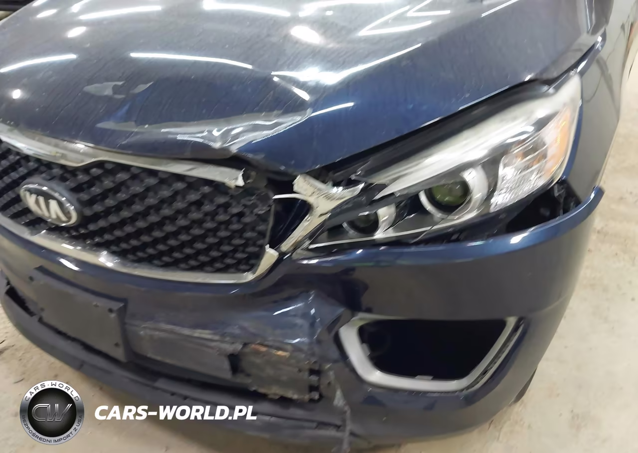 2017 Kia Sorento 3.3L Lx VIN:5XYPGDA58HG190227 - 6
