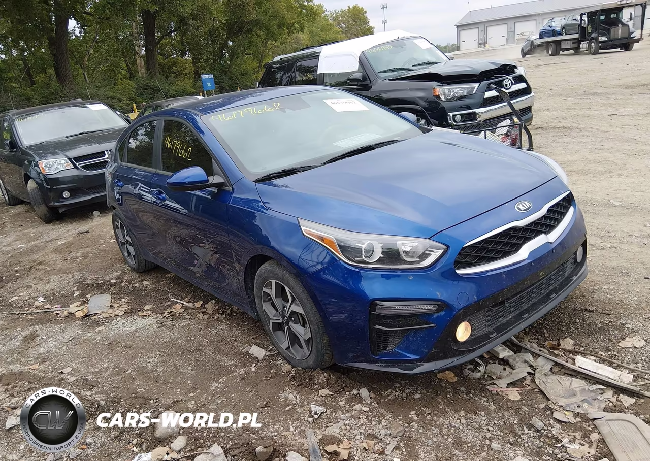 2019 Kia Forte Lxs