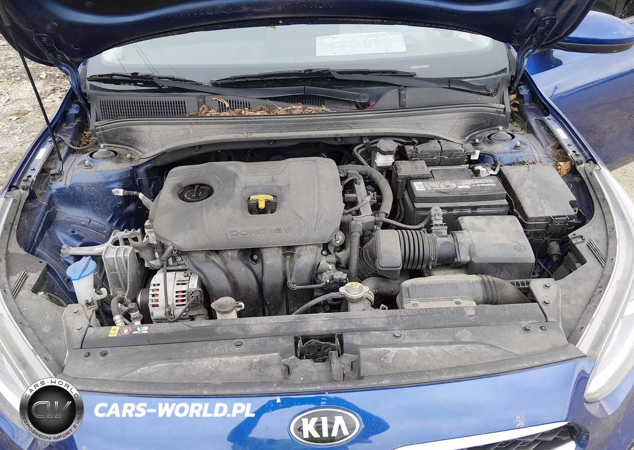 2019 Kia Forte Lxs VIN:3KPF24AD0KE110960 - 10