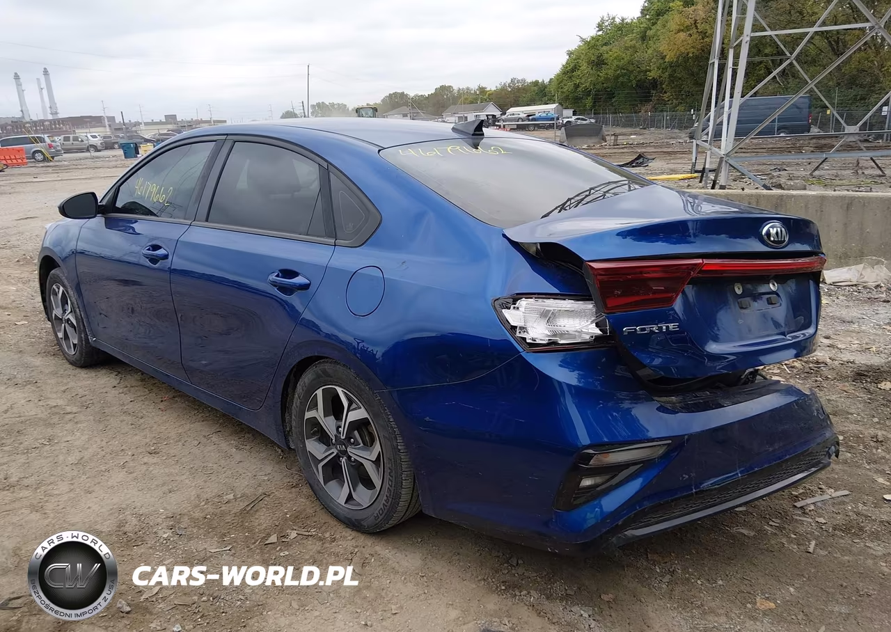 2019 Kia Forte Lxs VIN:3KPF24AD0KE110960 - 3