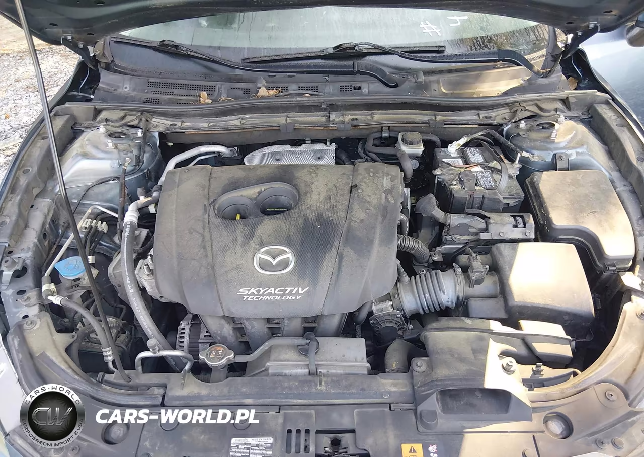 2016 Mazda Mazda3 I Sport VIN:JM1BM1J70G1343572 - 10