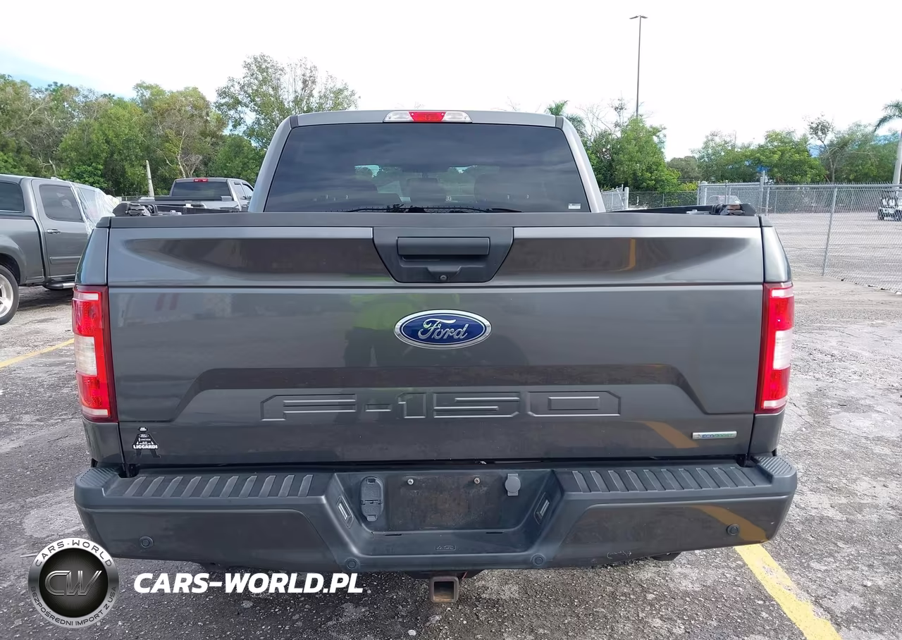 2019 Ford F-150 Xl VIN:1FTEW1EP6KFB42062 - 17