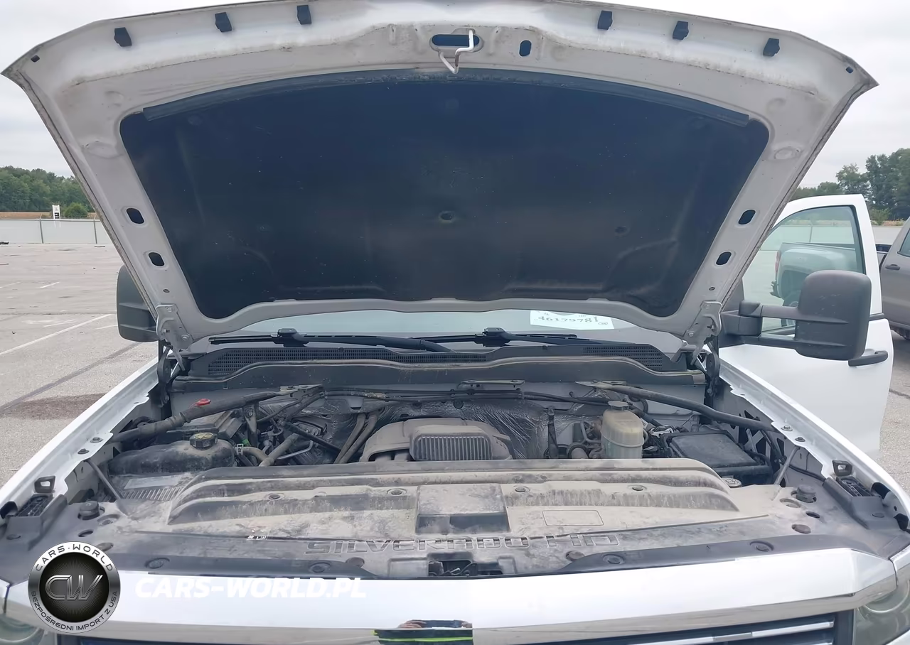 2017 Chevrolet Silverado 3500Hd Wt VIN:1GC5KYCG9HZ308587 - 10