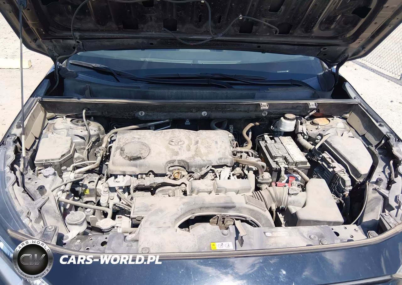 2019 Toyota Rav4 Xle Premium VIN:2T3C1RFV5KC020178 - 10