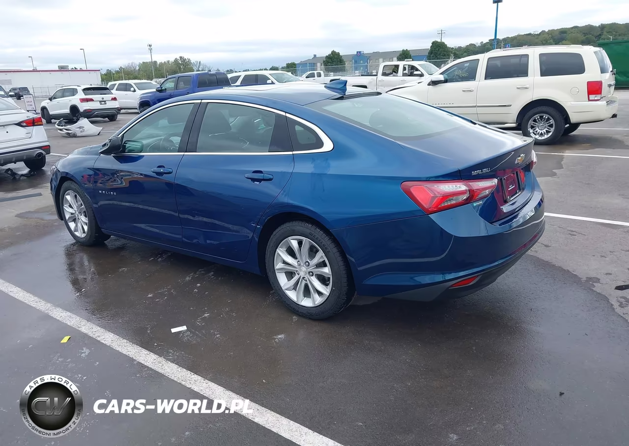 2019 Chevrolet Malibu Lt VIN:1G1ZD5ST8KF144534 - 3