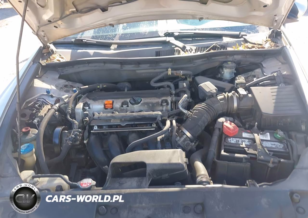 2009 Honda Accord 2.4 Lx-P VIN:1HGCP26429A012769 - 10