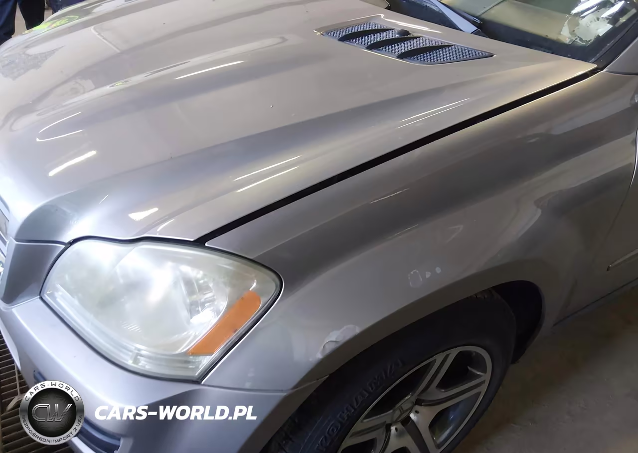2007 Mercedes-Benz Gl 450 4Matic VIN:4JGBF71E97A099461 - 6