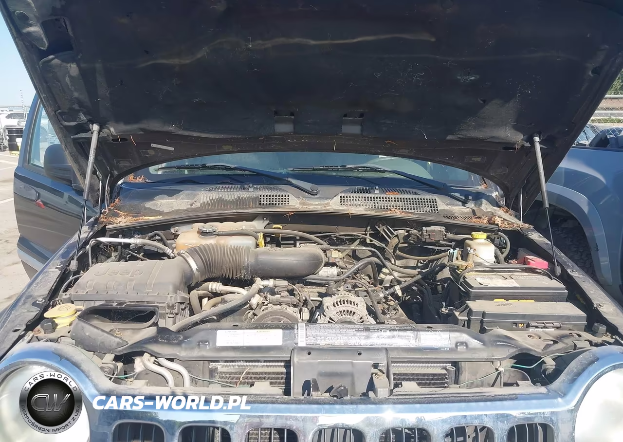 2005 Jeep Liberty Limited Edition VIN:1J4GL58KX5W716539 - 10