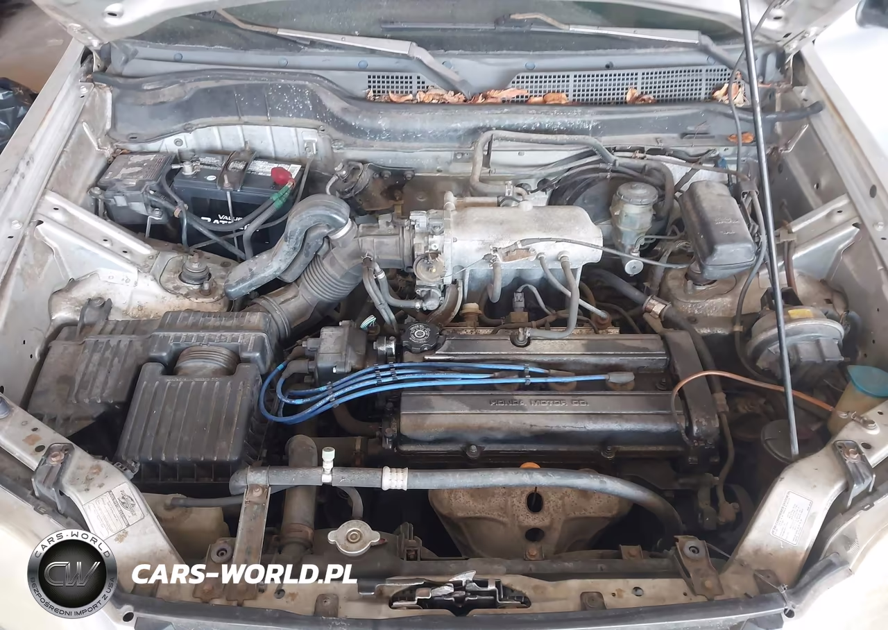 1998 Honda Cr-V Lx VIN:JHLRD1844WC077439 - 10