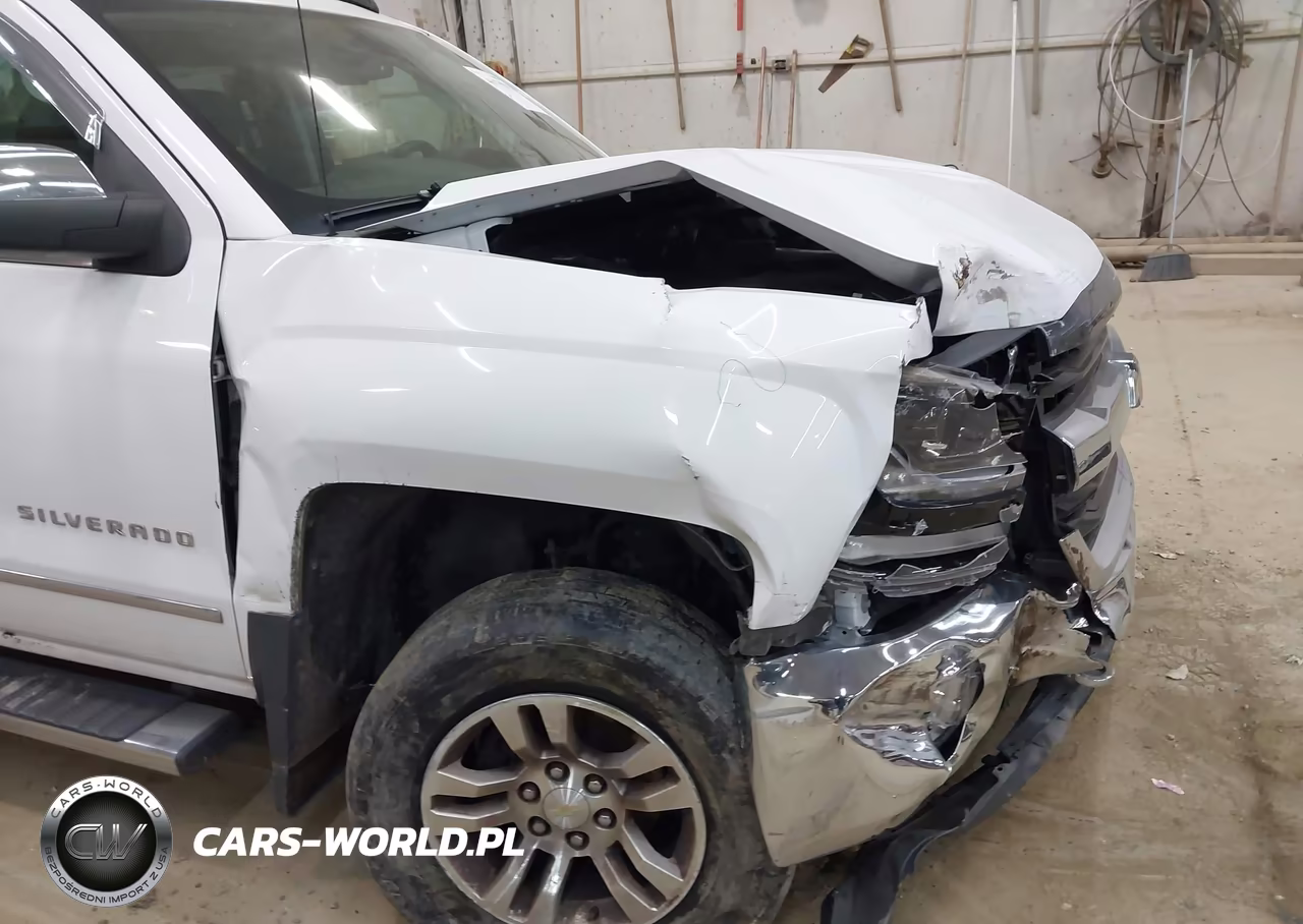2017 Chevrolet Silverado 1500 1Lz VIN:1GCVKSECXHZ102590 - 19