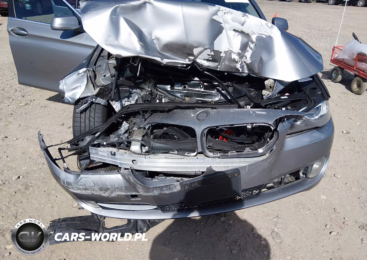 2013 BMW 528I xDrive VIN:WBAXH5C54DDW11883 - 6