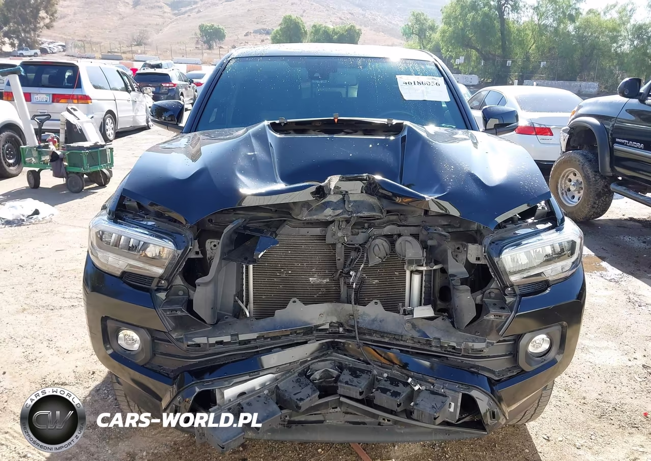 2023 Toyota Tacoma Trd Sport VIN:3TMBZ5DN5PM039918 - 12