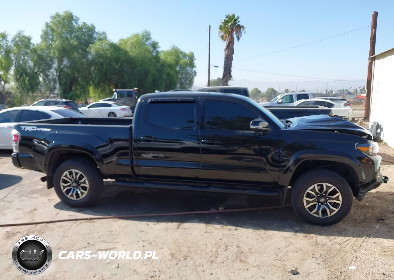 2023 Toyota Tacoma Trd Sport VIN:3TMBZ5DN5PM039918 - 13