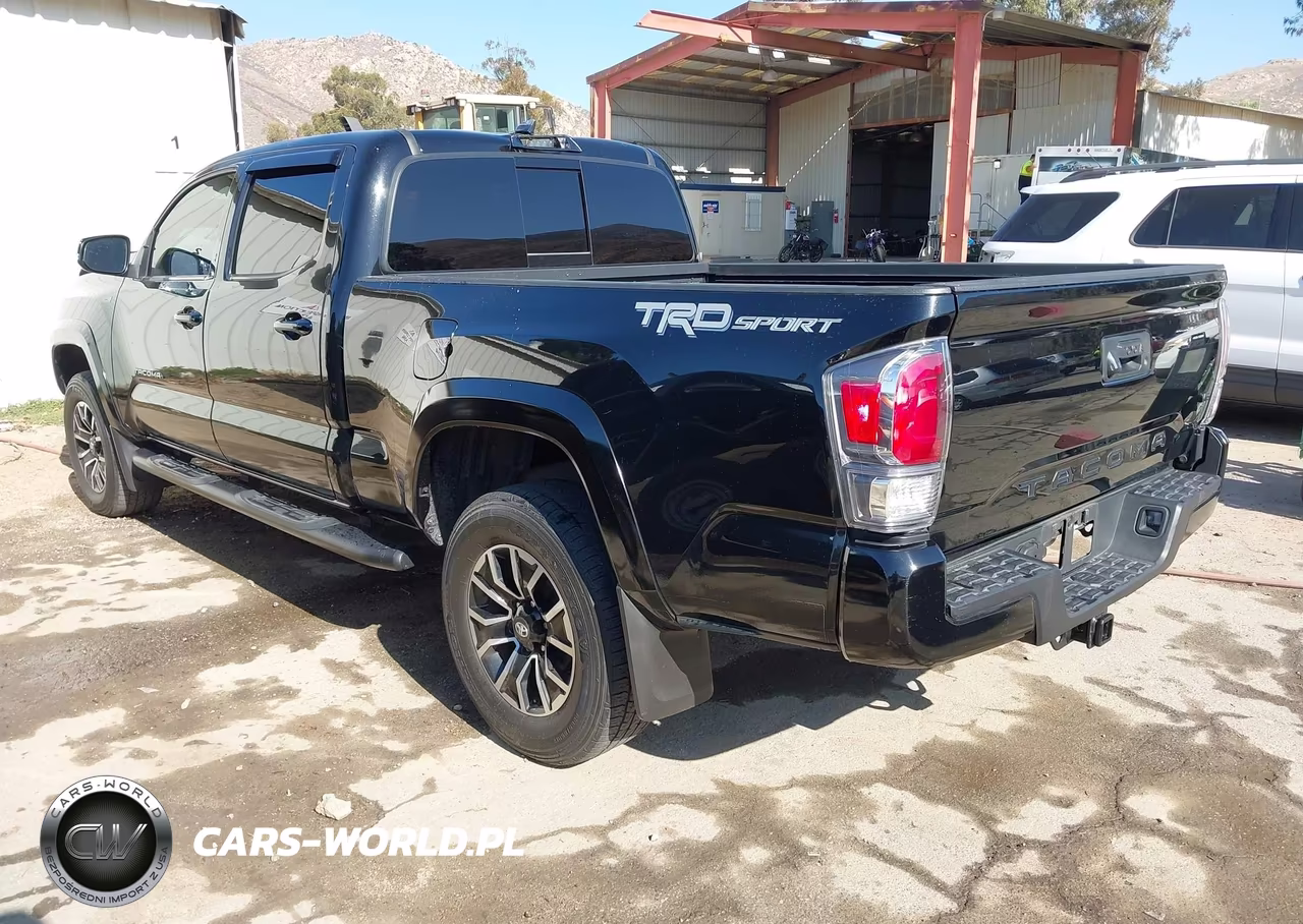 2023 Toyota Tacoma Trd Sport VIN:3TMBZ5DN5PM039918 - 3