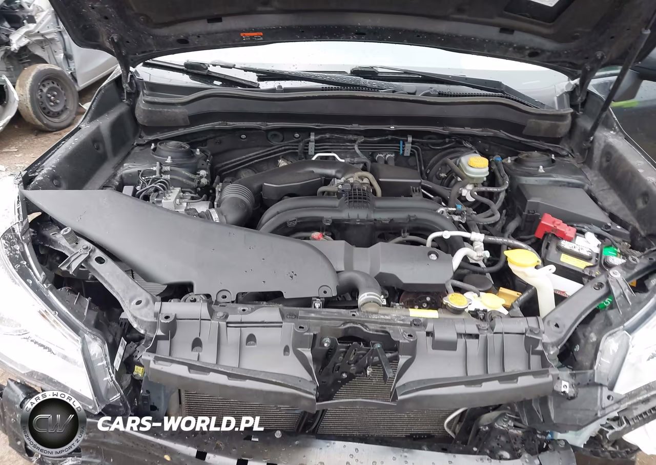 2018 Subaru Forester 2.5I Premium VIN:JF2SJAGC8JH601737 - 10