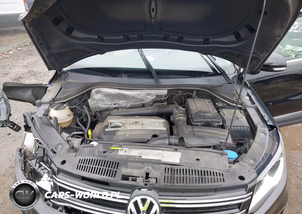 2017 Volkswagen Tiguan 2.0T Wolfsburg Edition VIN:WVGSV7AX8HW508624 - 10