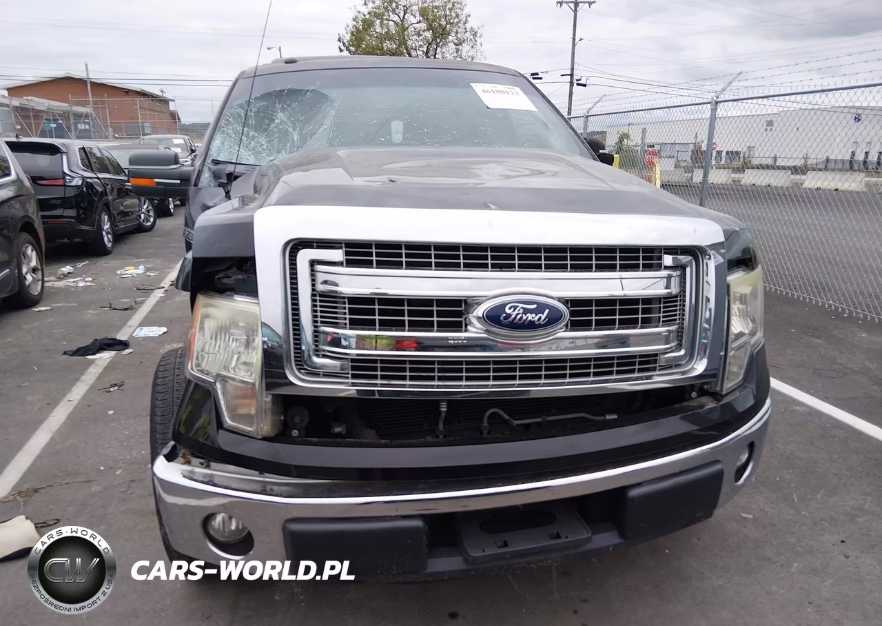 2013 Ford F-150 Xlt VIN:1FTFX1CF0DFA42652 - 12