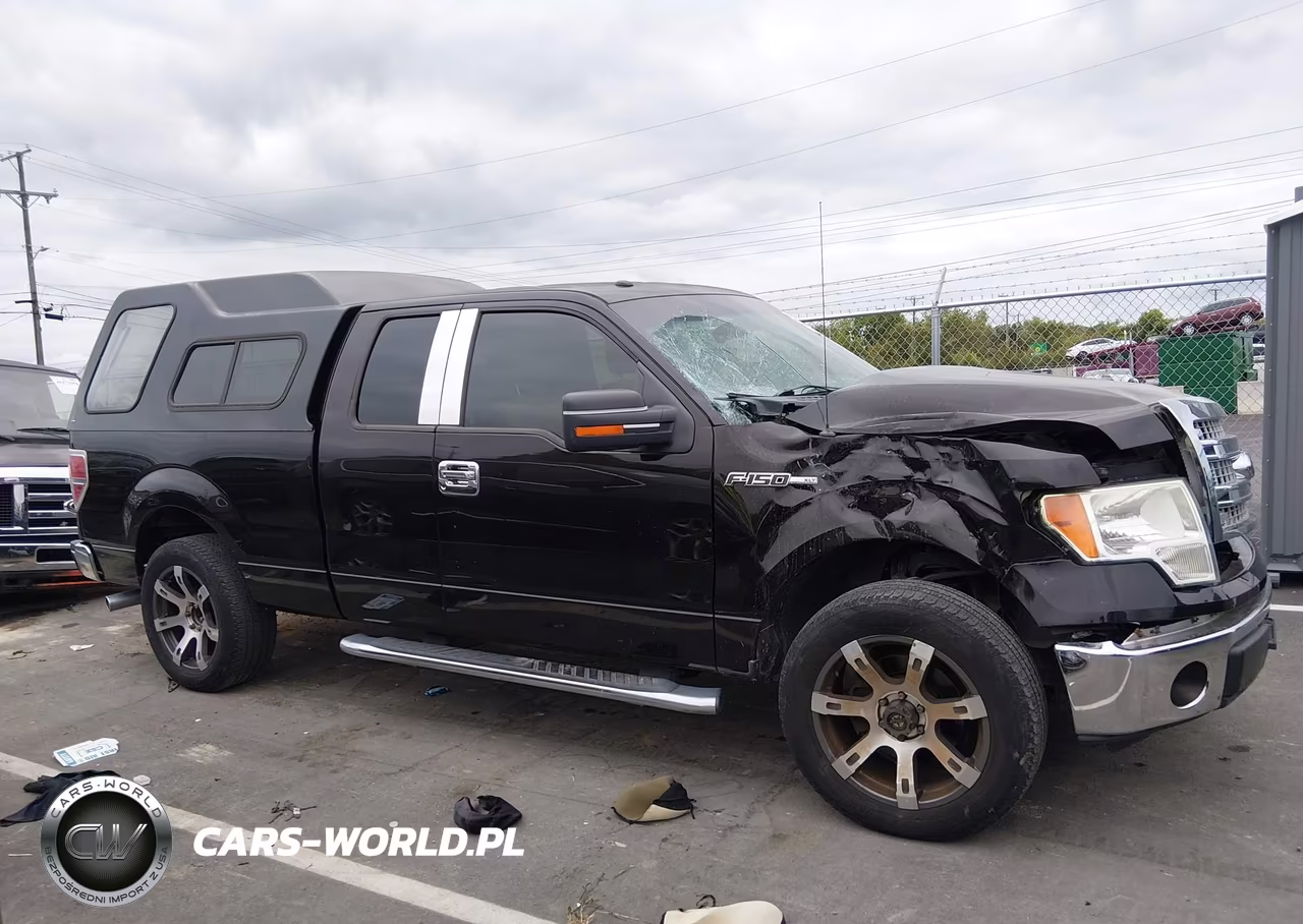 2013 Ford F-150 Xlt VIN:1FTFX1CF0DFA42652 - 13