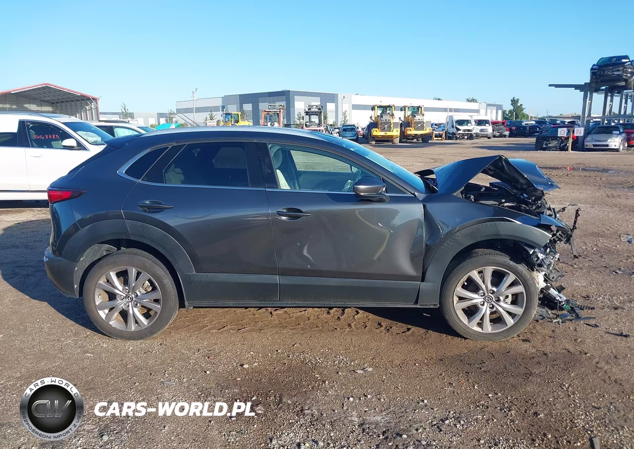 2023 Mazda Cx-30 2.5 S Premium VIN:3MVDMBDM2PM549767 - 13