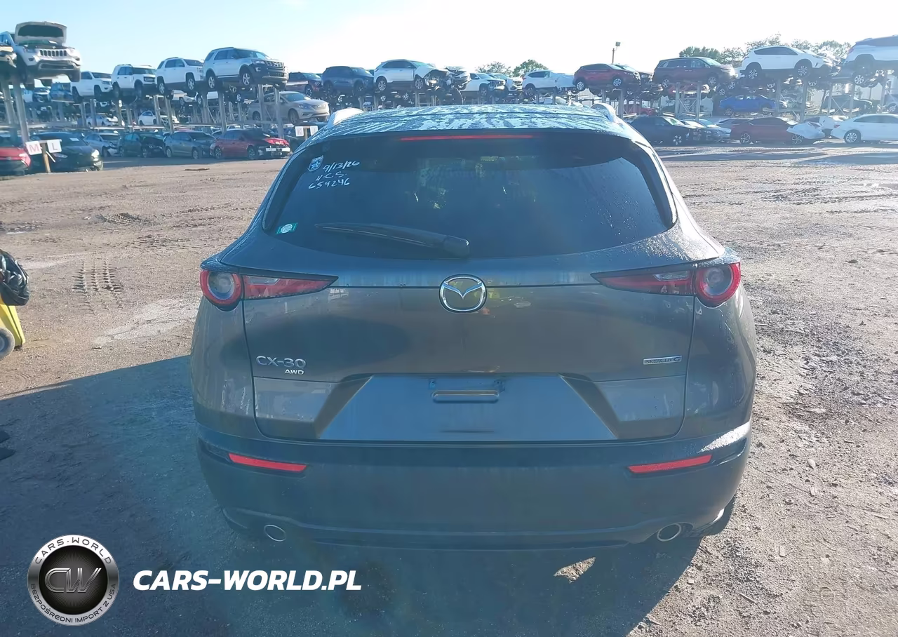2023 Mazda Cx-30 2.5 S Premium VIN:3MVDMBDM2PM549767 - 16