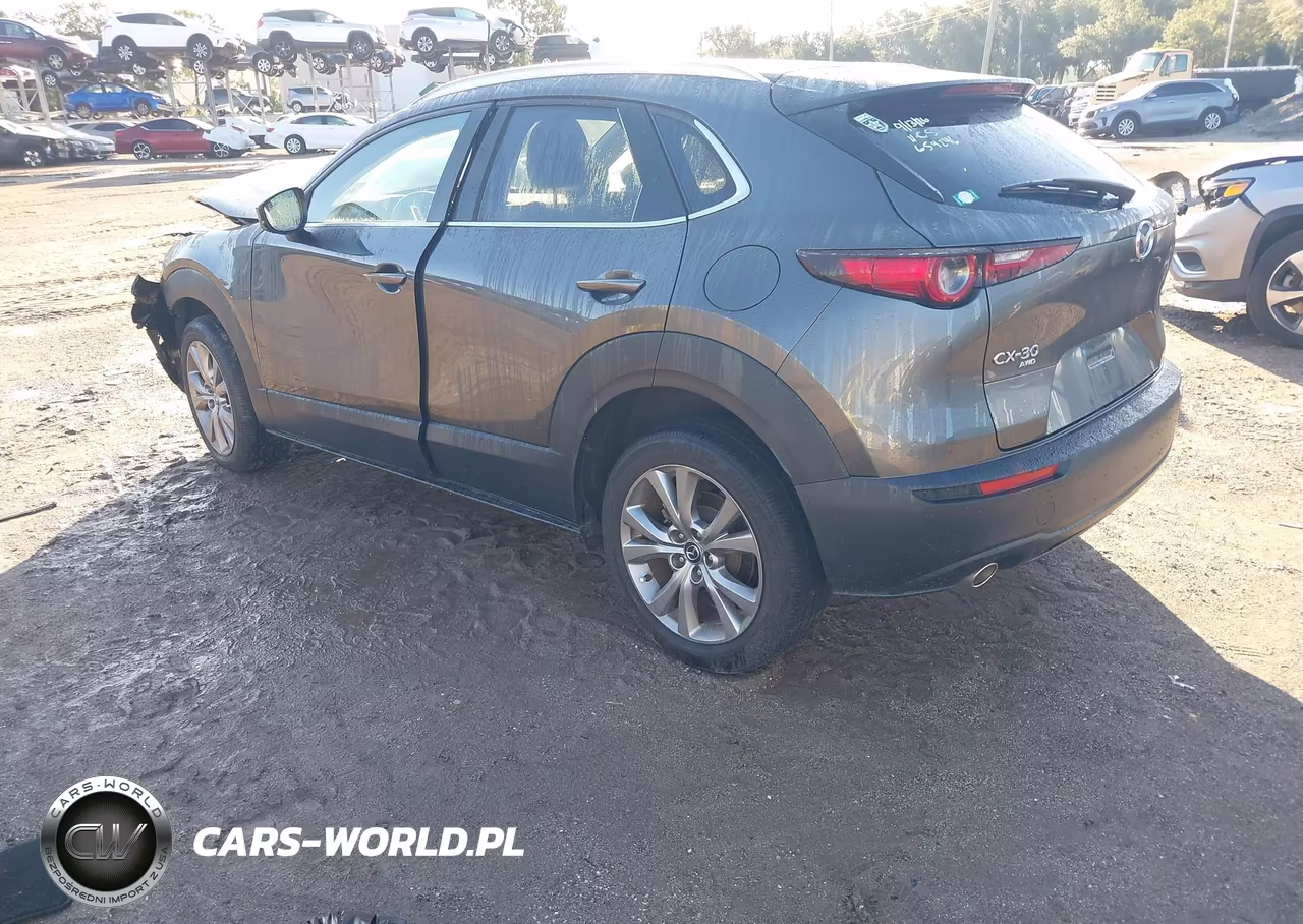 2023 Mazda Cx-30 2.5 S Premium VIN:3MVDMBDM2PM549767 - 3