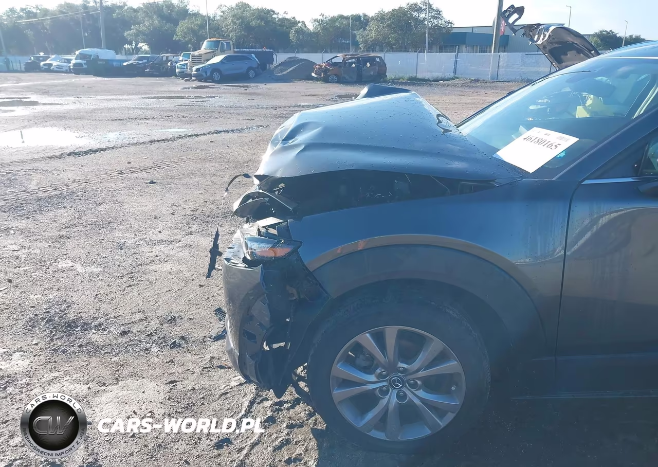 2023 Mazda Cx-30 2.5 S Premium VIN:3MVDMBDM2PM549767 - 6